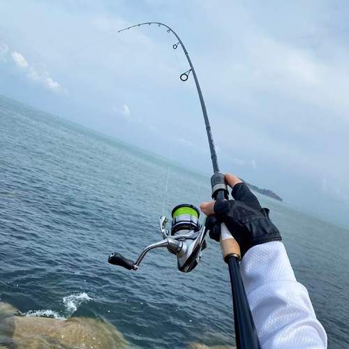 上海路亞地方_上海路亞_上海路亞大全_上海哪里有路亞能釣魚_2020上海路亞釣場