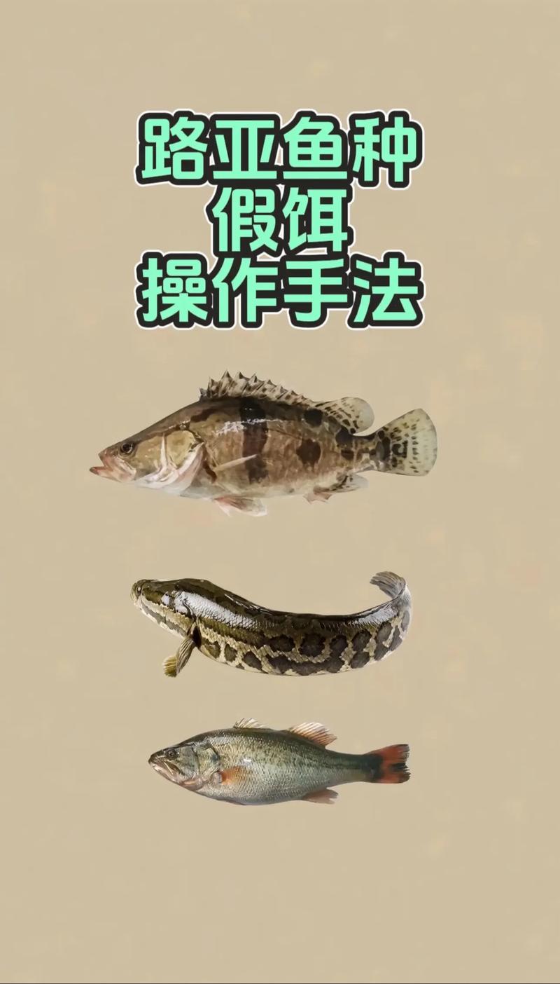 路亞綁鉤教程視頻_路亞魚鉤的綁法圖解_路亞綁鉤怎么綁