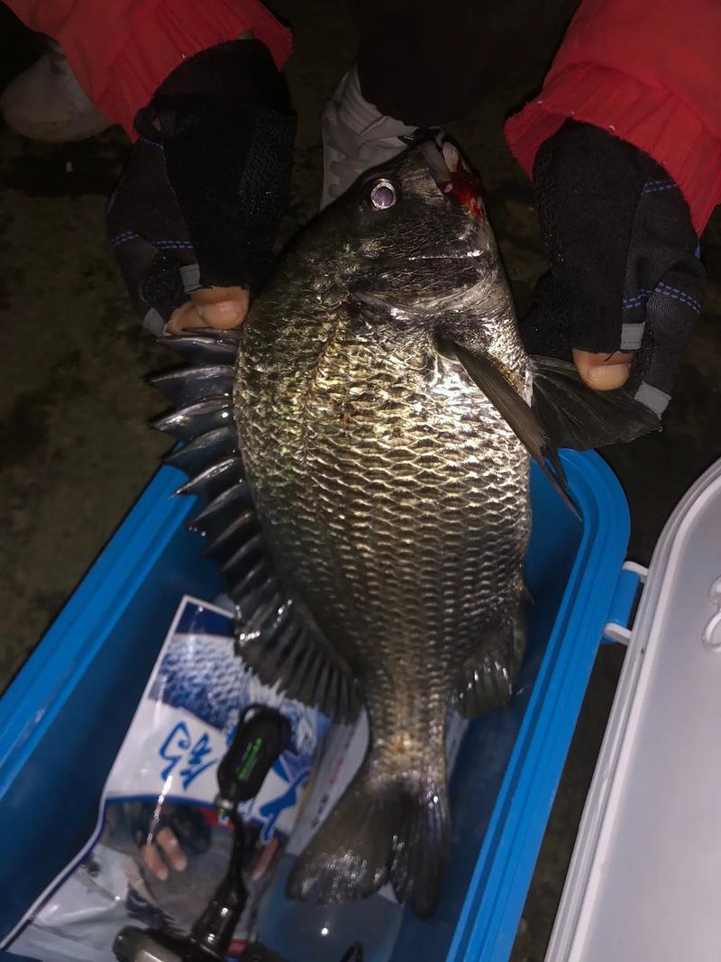 白馬湖夜釣怎么樣_白馬山附近有沒有夜釣釣友_白馬釣場