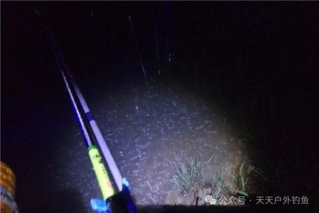 白馬湖夜釣怎么樣_白馬釣場_白馬山附近有沒有夜釣釣友
