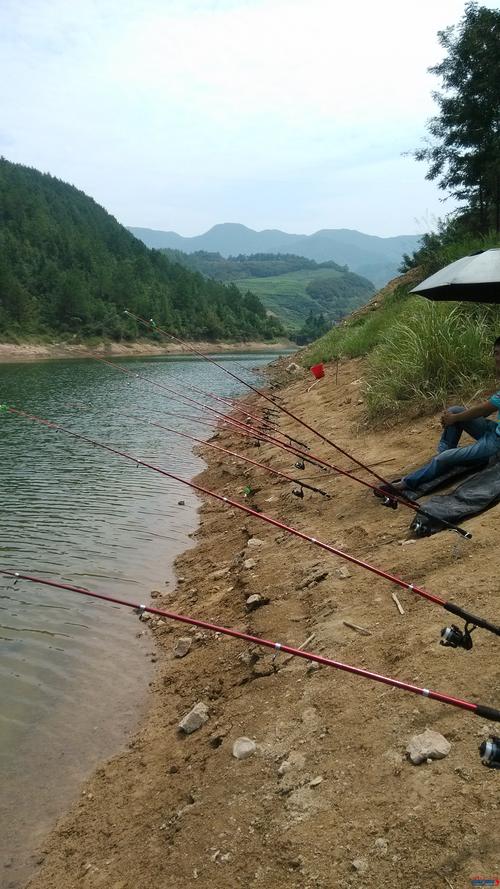 四海釣魚頻道高清直播：釣魚技巧與文化交流的絕佳平臺