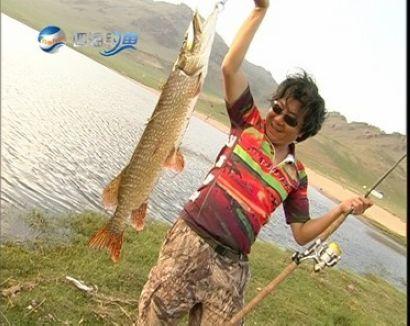 四海釣魚頻道直播高清_四海釣魚頻道免費收看_四海釣魚節目