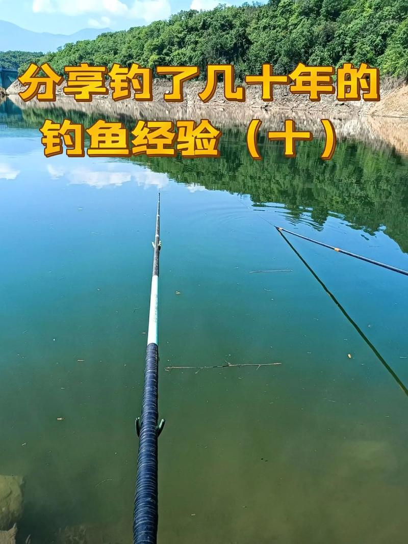 上海釣魚網站_上海釣魚論壇進不去了_上海釣魚論壇
