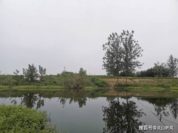 九江瑞昌市野塘大全_九江古塘_九江山塘魚美食