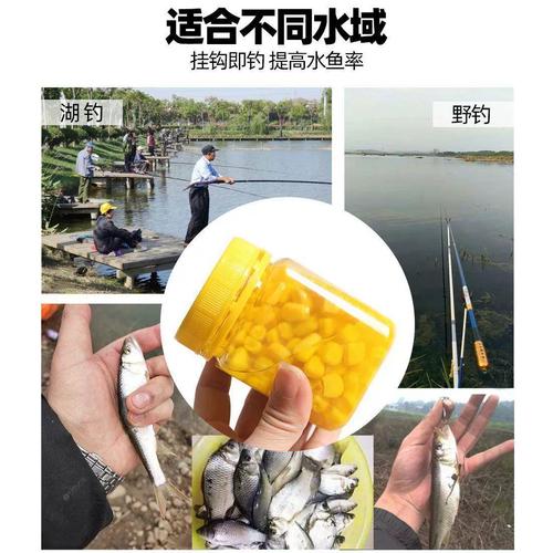 釣鯽魚餌料搭配_釣鯽魚餌料配方釣鯽魚魚餌配方_野釣大鯽魚餌料配方 釣魚人必看