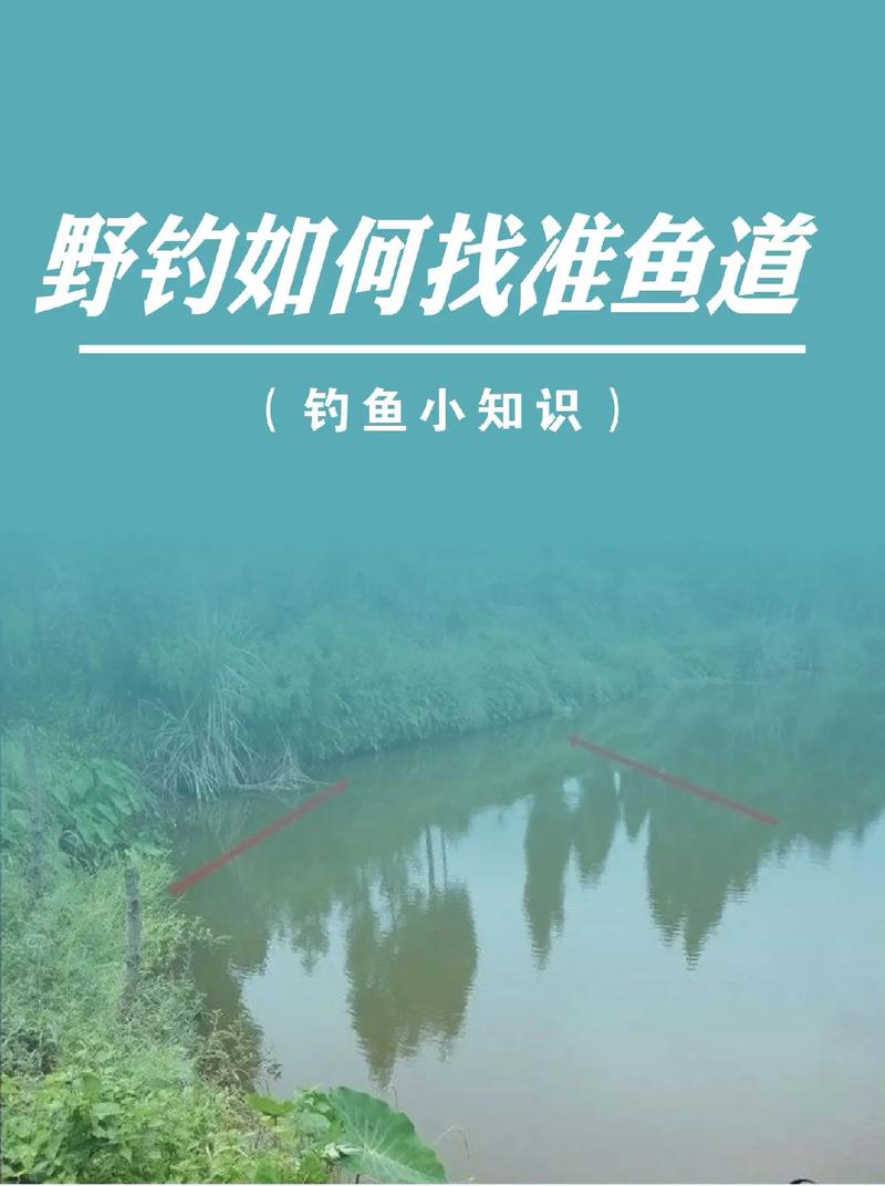 冬季大長山島釣魚體驗：獨特釣點與裝備選擇指南