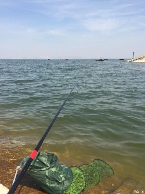 北湖水鄉釣魚爭議解析：濟寧北湖釣魚指南與自然風光探索