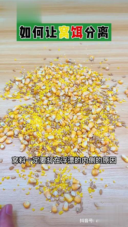 深秋釣草魚用什么餌料打窩_深秋釣草魚用什么打窩_秋季釣草魚打窩