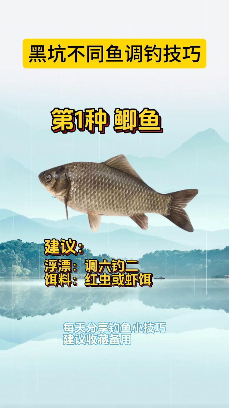 釣草魚用什么餌料好釣_釣餌料草魚好用嗎_釣草魚餌用什么最好