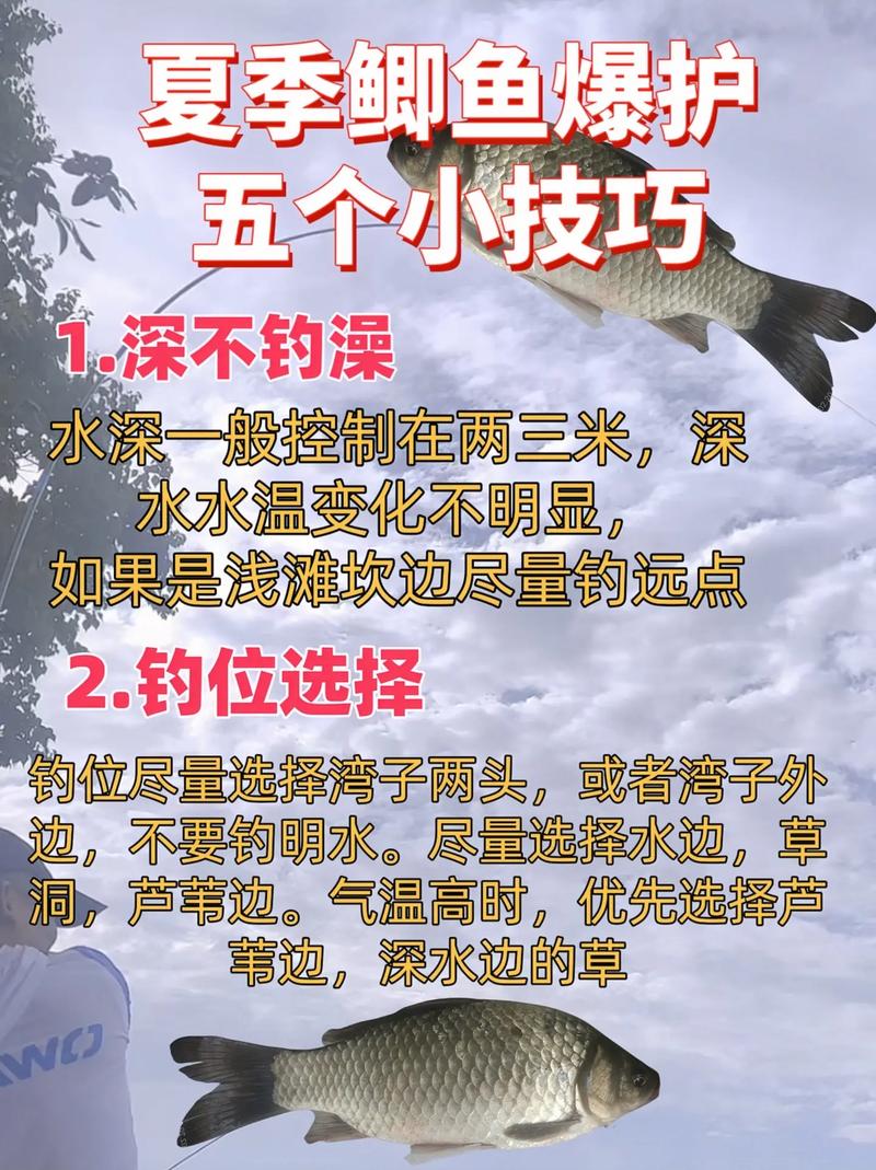 野釣渾水釣魚釣浮還是釣底_夏季野河釣魚渾水技巧_河水特別渾釣鯽魚的方法
