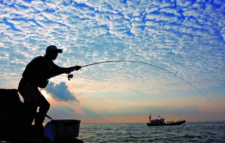 最新海釣魚視頻大全_海釣大魚視頻大全集_中國海釣大魚視頻大全高清