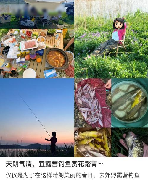 秋季野釣鯽魚用什么味型餌料_秋季野釣鯽魚用多大的鉤_秋季野釣