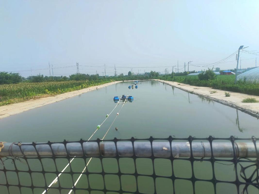 生態垂釣園_生態垂釣園地址_生態垂釣園電話_垂釣園開園公告_垂釣中心電話