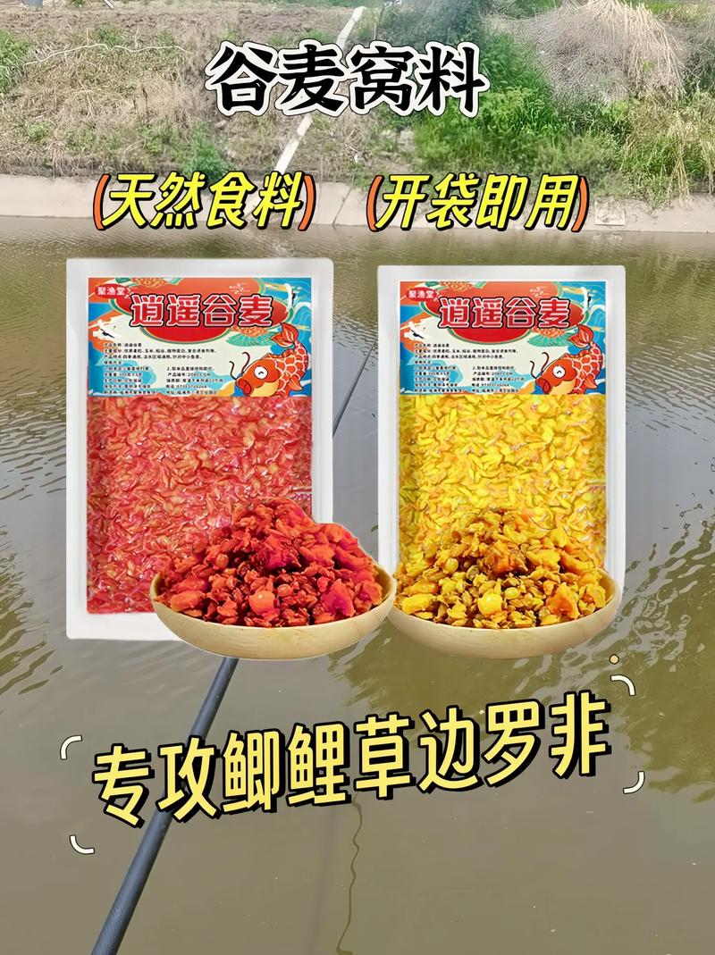 釣草魚打窩用什么效果最好_釣草魚打窩用什么好_釣草魚用什么打窩