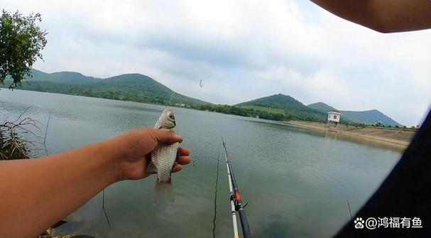 釣魚冬季技巧肥水方法_釣魚冬季技巧肥水圖片_冬季肥水釣魚技巧