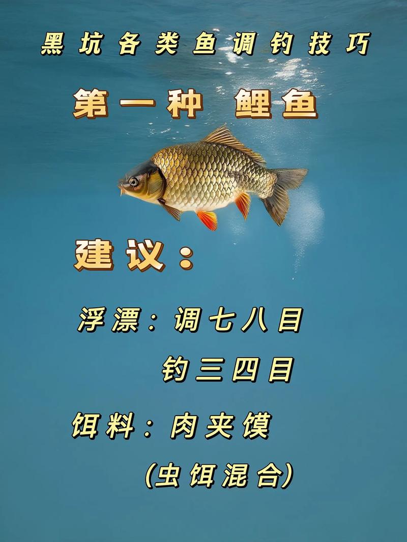 釣黑魚的最佳方法_釣最佳黑魚方法圖解_釣黑魚的幾種方法