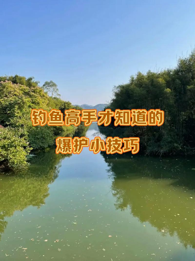 武漢釣友行話大揭秘：青妹妹、滿跑、爆護等暗語助菜鳥快速入門