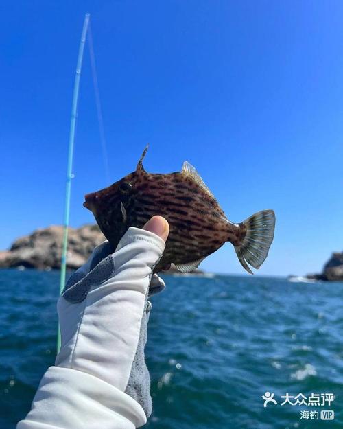 珠海海釣論壇_珠海海釣吧_珠海論壇海釣大師名單