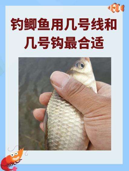 釣鯽魚用幾號鉤型最好_釣鯽魚用幾號鉤_釣魚鯽魚用幾號勾子