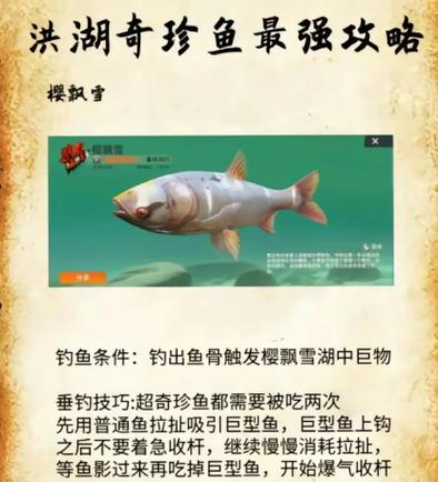 重慶長壽洪湖釣魚攻略：最佳釣具選擇與垂釣體驗分享