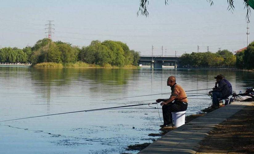 重慶長壽洪湖釣魚_長壽洪湖釣魚收費嗎_重慶長壽大洪湖鎮釣魚氣壓