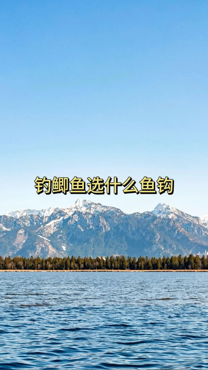 野釣鯽魚用什么鉤？袖鉤與伊豆鉤的選擇技巧與使用指南