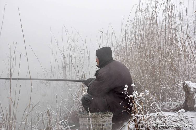氣溫驟降 釣魚_氣溫下降釣深還是釣淺_釣魚氣溫驟降的原因