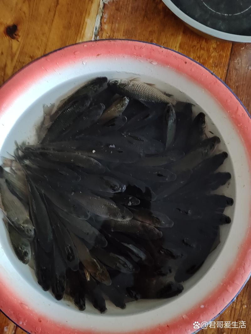 氣溫下降釣深還是釣淺_氣溫驟降 釣魚_釣魚氣溫驟降的原因