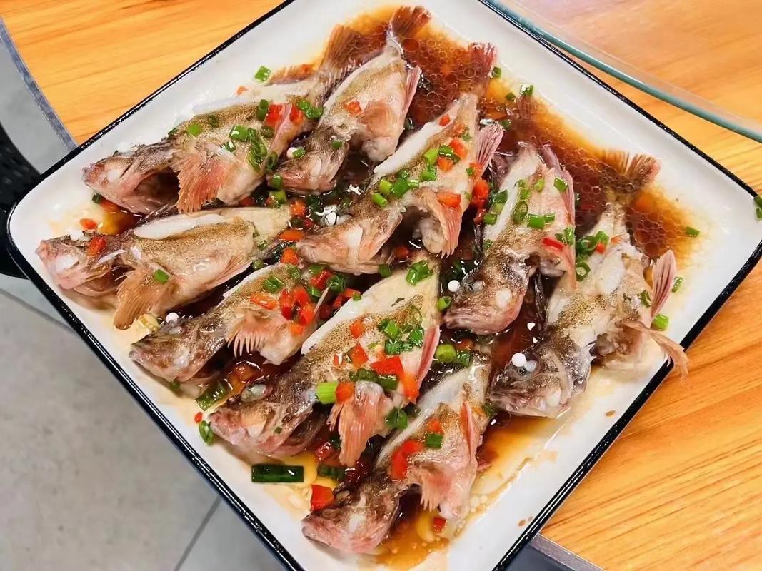 石九公_石九公是什么魚_釣魚百科