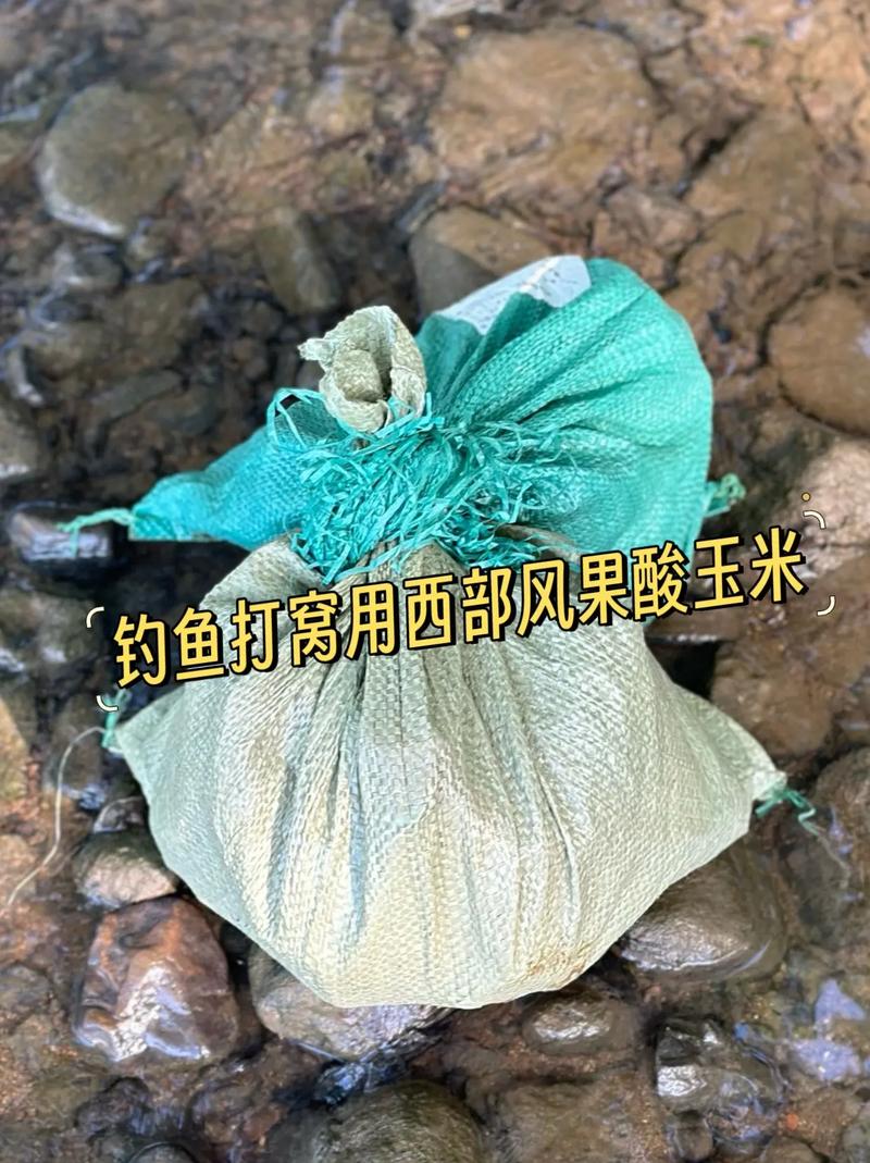 釣鯉魚魚餌配方_釣鯉魚配方魚餌大全_釣鯉魚的魚餌配方
