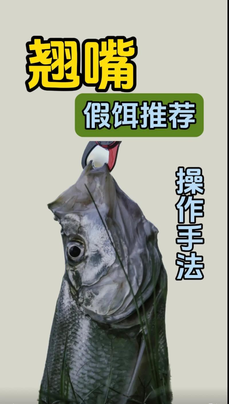 如何用假餌釣一二兩的翹嘴？亮片假餌技巧與最佳時間選擇