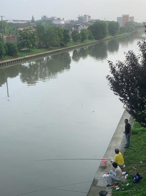 廊坊周邊釣魚_廊坊附近野釣地點_廊坊市附近有沒有野釣的地