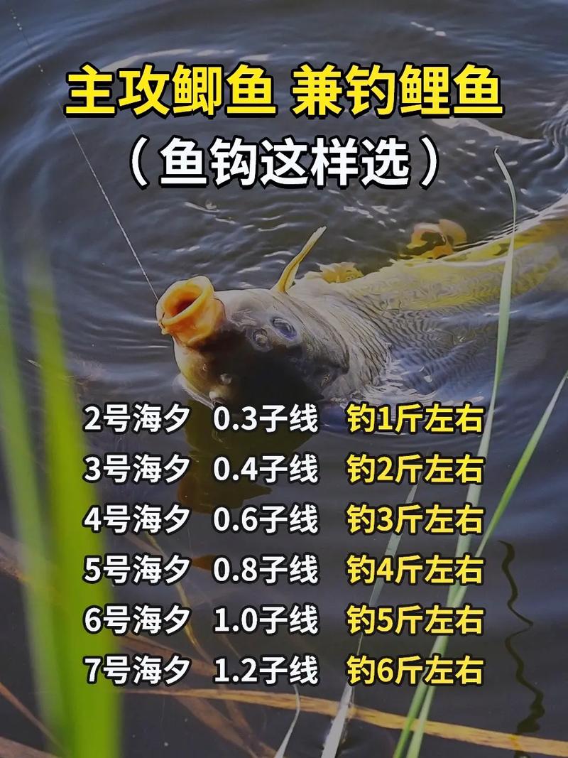 魚鉤型號大小對比表_型號對比大小魚鉤表怎么看_各類型魚鉤大小對比