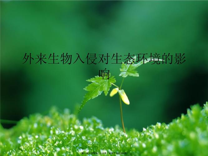 小東西泛濫成這樣_泛濫的東西會變得廉價_東西泛濫的意思