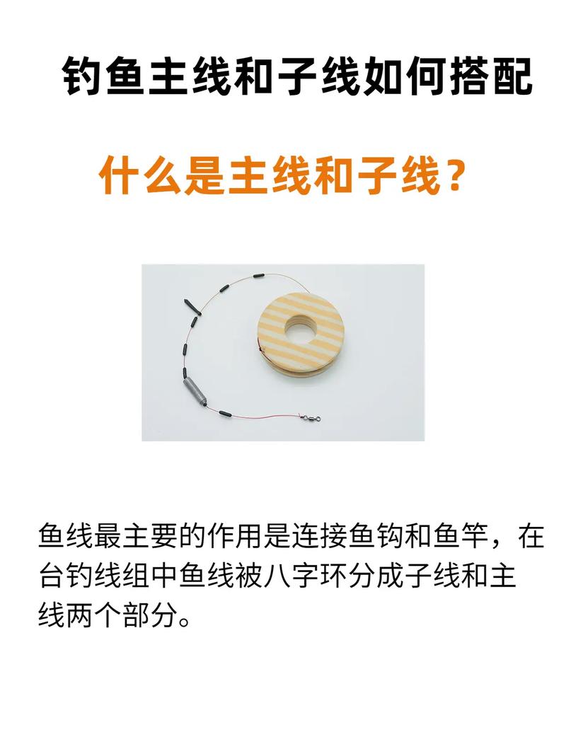 海釣鱸魚技巧：如何選擇最佳釣竿和魚線以提升釣魚成功率