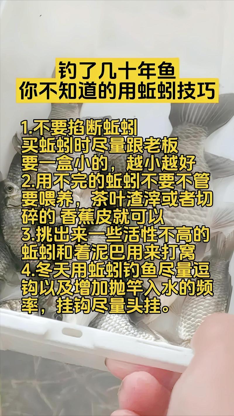 釣魚餌料配方大全：阿魏蚯蚓、人胎盤羊骨粉、丁香油蚯蚓秘方揭秘