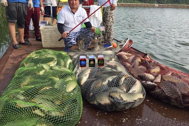 釣魚技巧大全_釣魚大全技巧圖解_釣魚技巧百科
