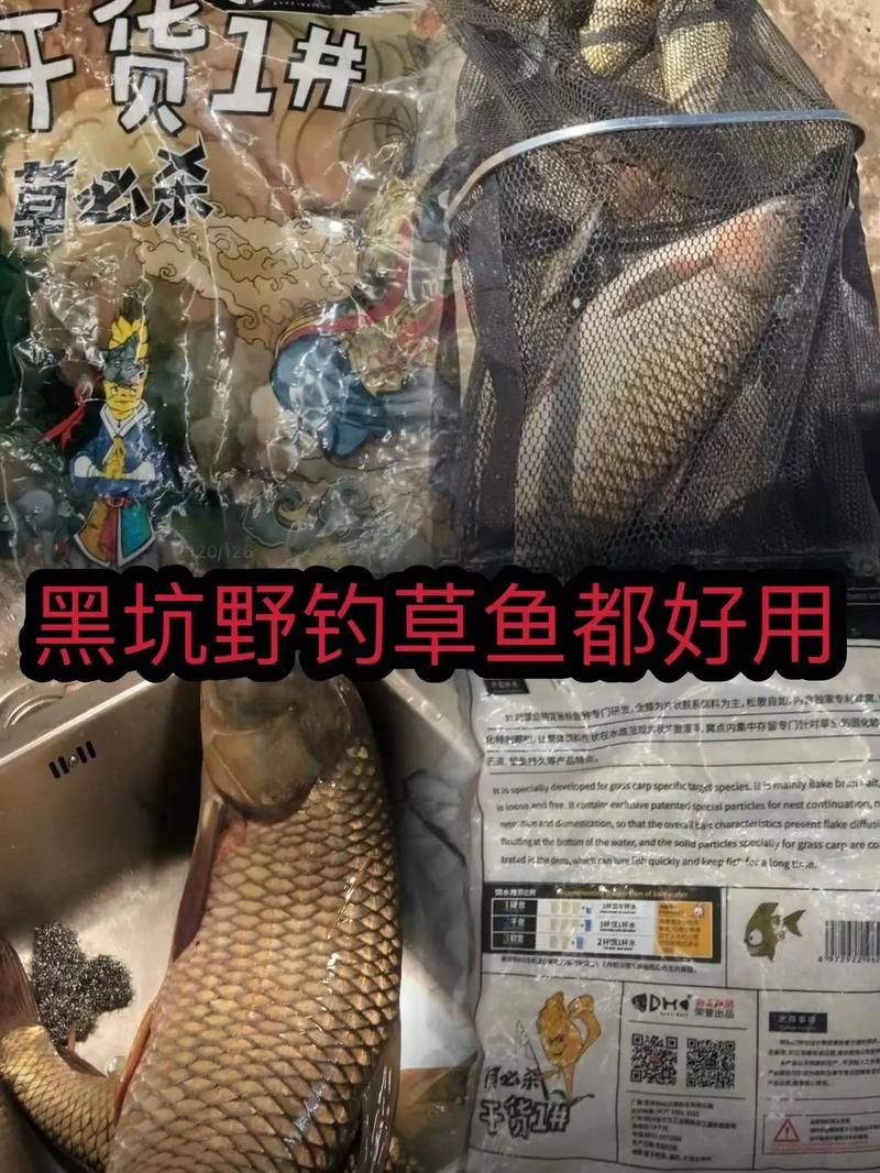 玉米釣草魚野釣教學視頻_玉米面釣黑坑好嗎?-釣草魚技巧-網_中國釣魚_釣草魚玉米面制作秘方