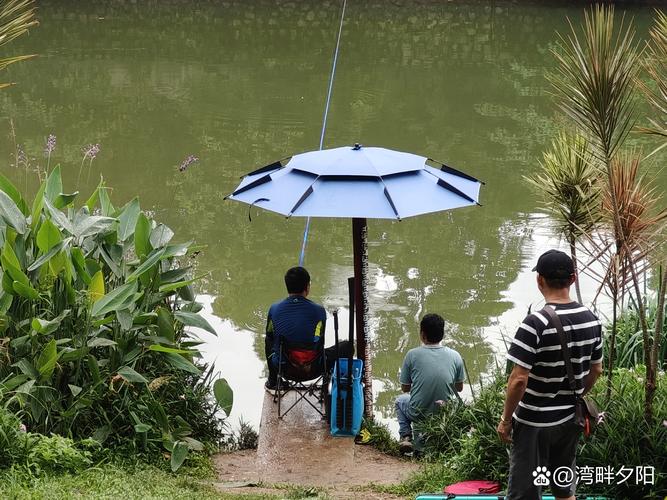 周邊釣魚野釣地點大全_周邊釣魚app_周邊釣魚好去處