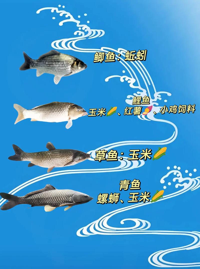 草魚餌料最佳配方_配方餌料草魚最佳配比_草魚餌料配方大全