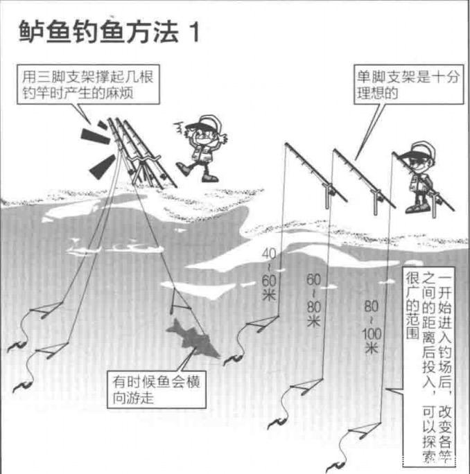 岸邊海釣鱸魚視頻_岸釣海鱸魚教學視頻_岸邊海釣鱸魚技巧視頻