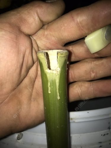 手把手教你自制超實用的太陽傘魚具竿桶釣魚之家