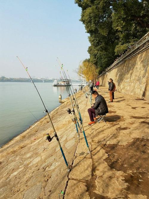 長沙湘江邊野釣攻略：最佳釣魚地點、魚餌選擇與風景欣賞