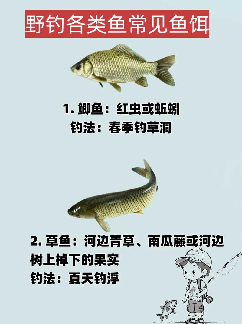 長沙釣魚地點野釣地圖_湖南長沙野釣地點_長沙附近野釣釣魚的地方