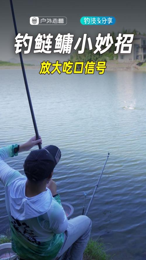 手竿釣鰱鳙如何釣鯉魚