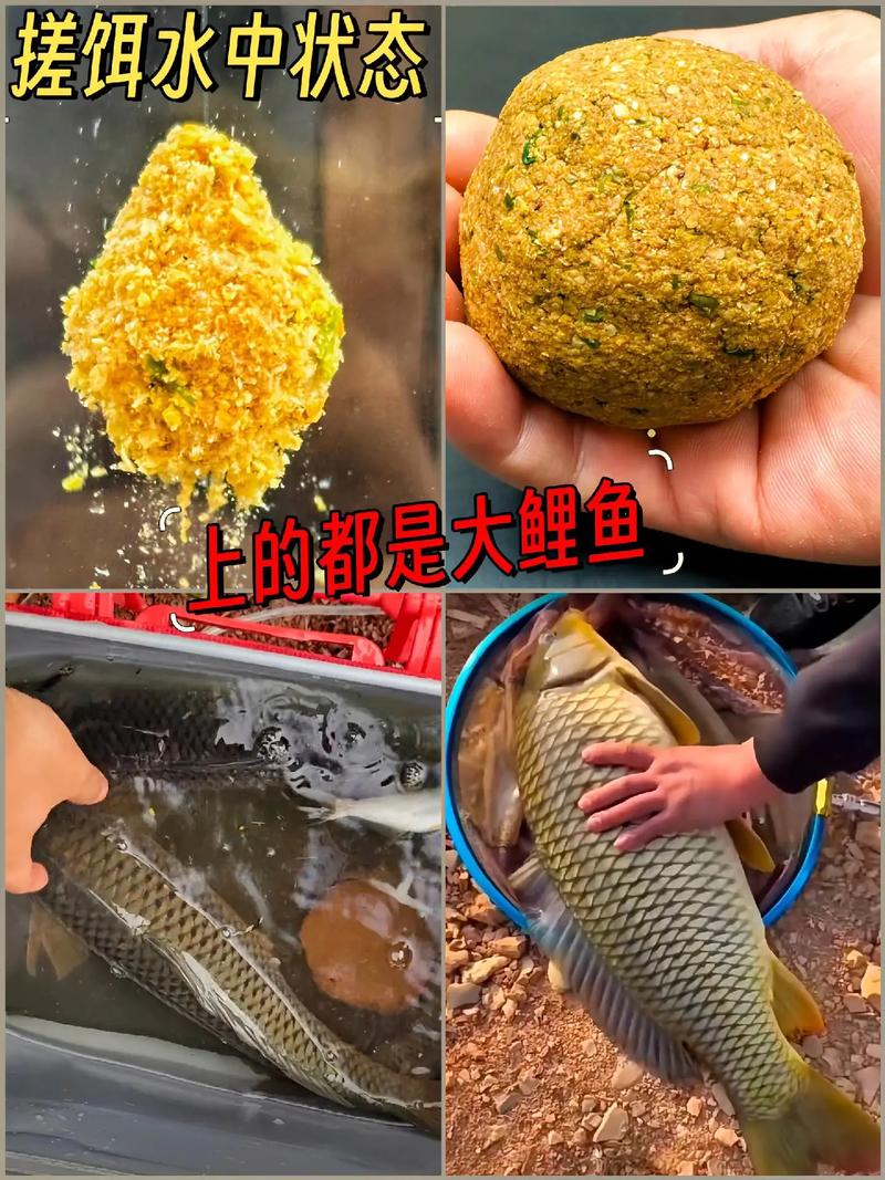 秋季垂釣草魚最佳餌料_秋天釣草魚用什么餌料好呢_秋季釣草魚用什么餌料最好野釣