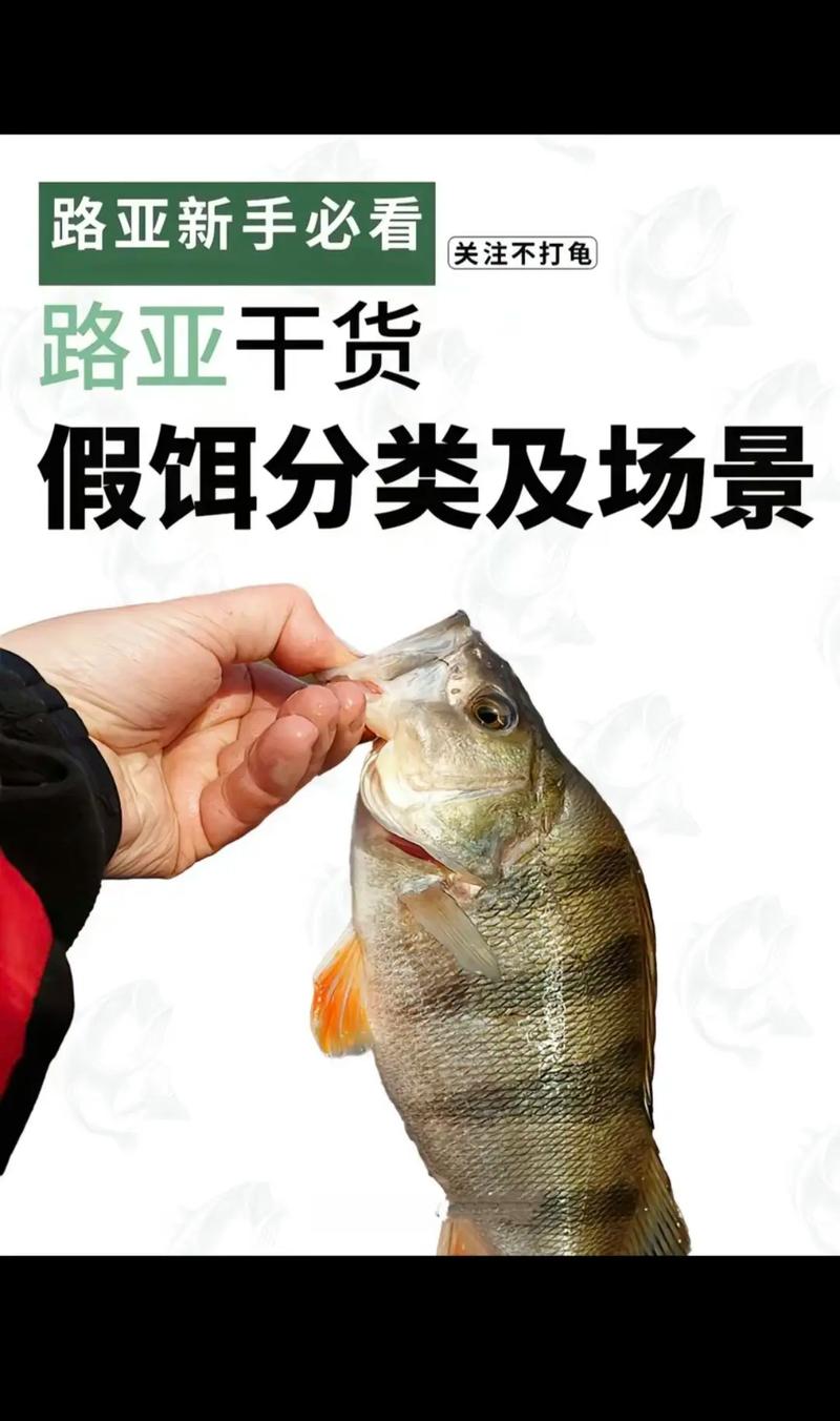 岸上守釣法：歷史悠久且適應性強，防波堤釣鱸魚的最佳選擇