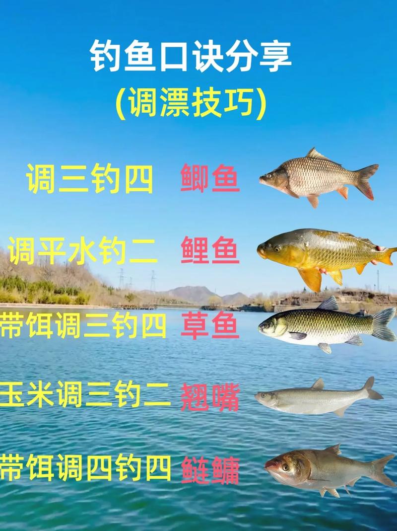 下載四海釣魚野釣視頻_四海釣魚視頻_四海釣魚的視頻