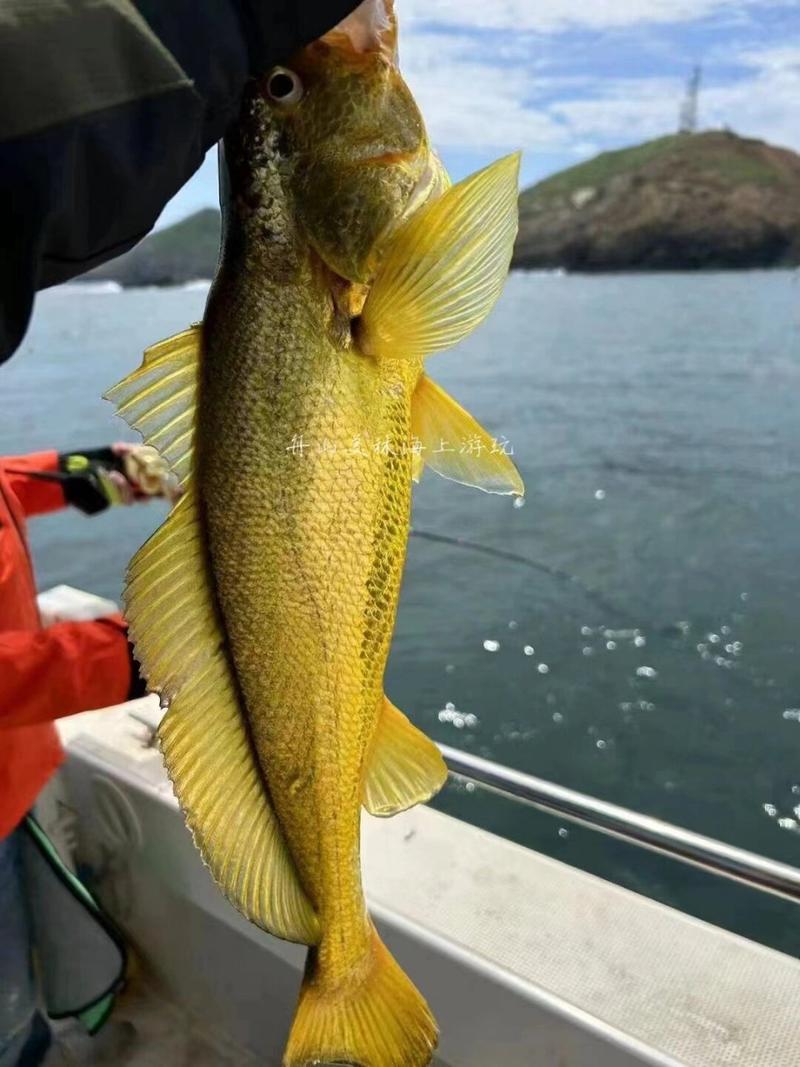 視頻海釣魚竿線_海釣視頻_2021年海釣視頻