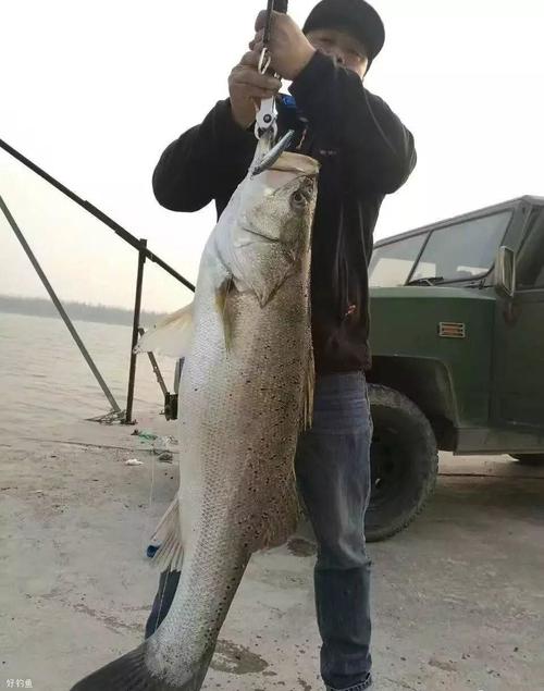 海釣鱸魚技巧：天氣對鱸魚習性與釣法的影響詳解